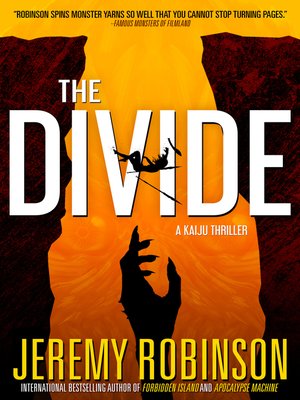 cover image of The Divide
